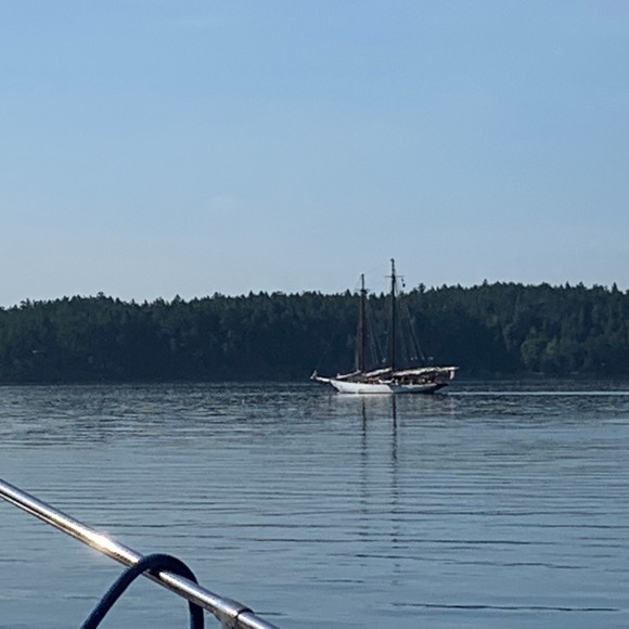 Meet your Posher, Nataliya - Picture 1 of 1